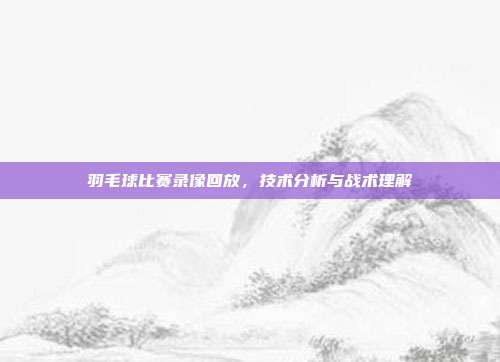 羽毛球比赛录像回放,技术分析与战术理解