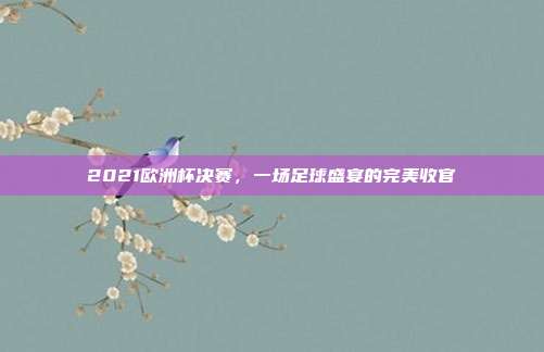 2021欧洲杯决赛,一场足球盛宴的完美收官
