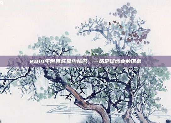 2014年世界杯最终排名,一场足球盛宴的落幕
