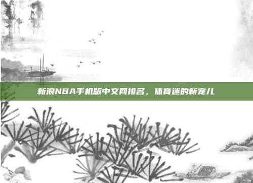 新浪NBA手机版中文网排名,体育迷的新宠儿