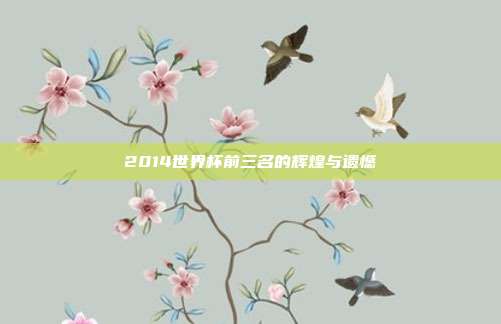 2014世界杯前三名的辉煌与遗憾