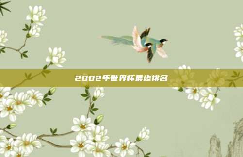 2002年世界杯最终排名