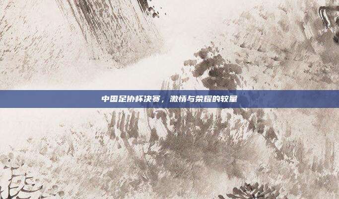 中国足协杯决赛,激情与荣耀的较量