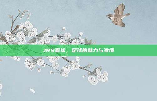 JRS看球,足球的魅力与激情