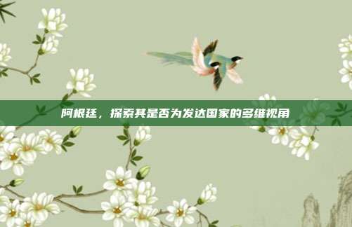 阿根廷,探索其是否为发达国家的多维视角