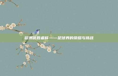 欧洲优胜者杯——足球界的荣耀与挑战
