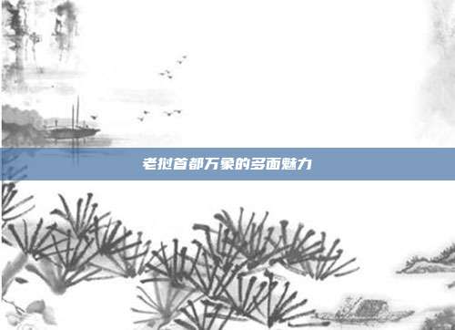 老挝首都万象的多面魅力