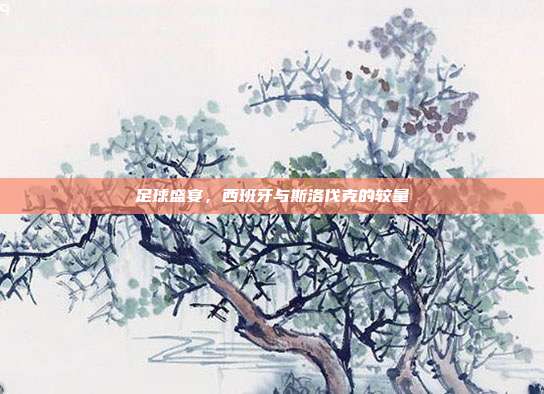 足球盛宴,西班牙与斯洛伐克的较量