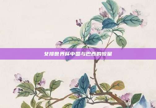 女排世界杯中国与巴西的较量