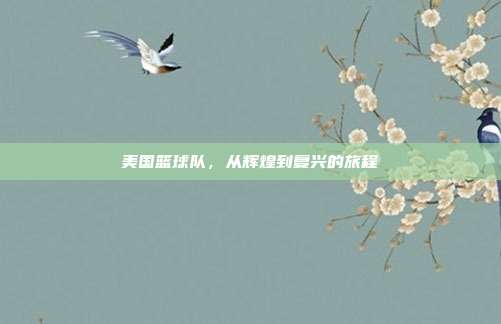 美国篮球队,从辉煌到复兴的旅程