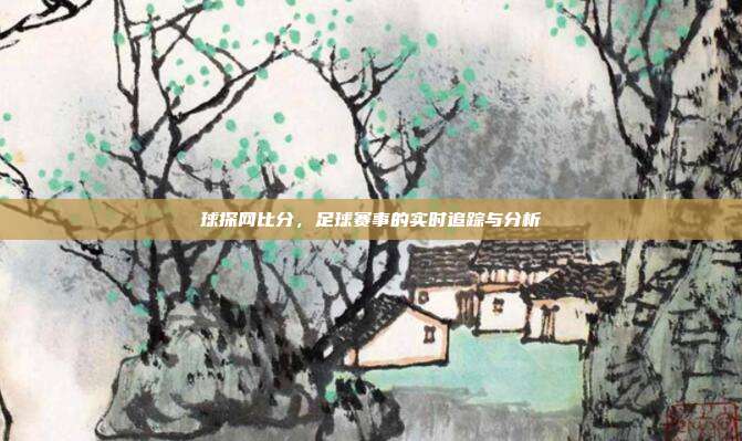球探网比分，足球赛事的实时追踪与分析