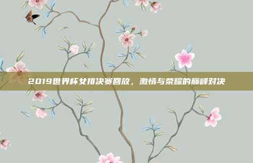 2019世界杯女排决赛回放，激情与荣耀的巅峰对决