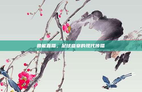 鲁能直播，足球盛宴的现代传播