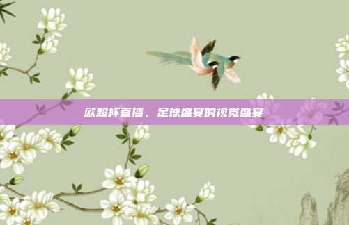 欧超杯直播，足球盛宴的视觉盛宴