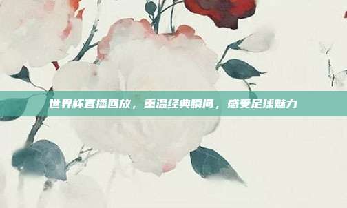 世界杯直播回放，重温经典瞬间，感受足球魅力