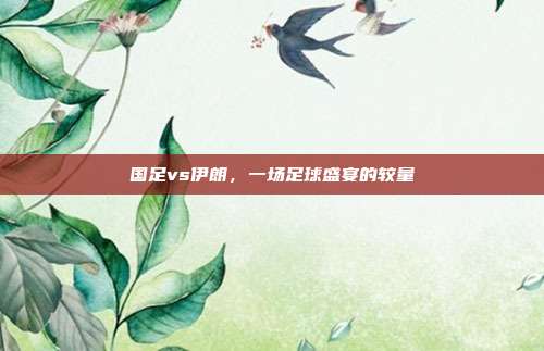 国足vs伊朗，一场足球盛宴的较量