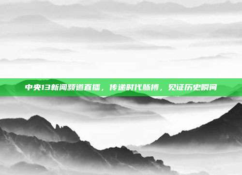 中央13新闻频道直播，传递时代脉搏，见证历史瞬间