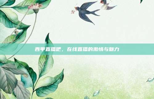 西甲直播吧，在线直播的激情与魅力