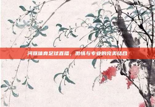 河豚体育足球直播，激情与专业的完美结合