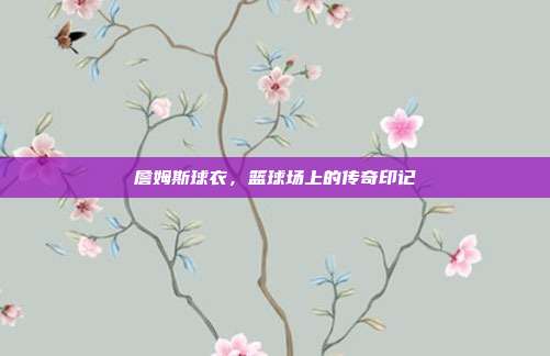 詹姆斯球衣,篮球场上的传奇印记