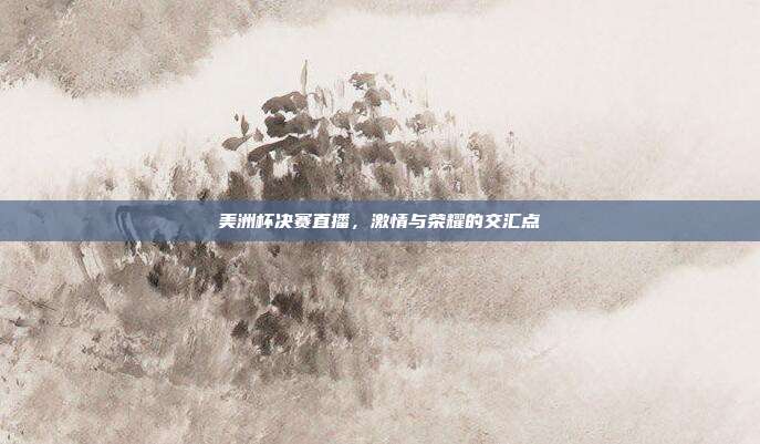 美洲杯决赛直播,激情与荣耀的交汇点