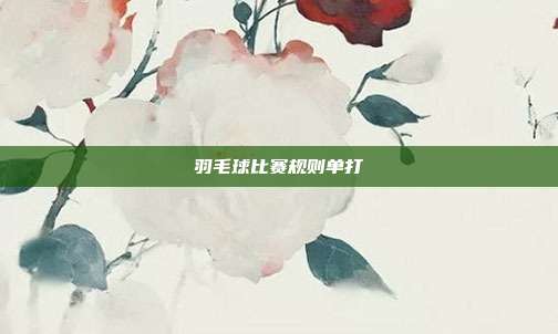 羽毛球比赛规则单打