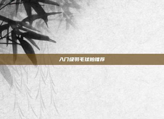 入门级羽毛球拍推荐