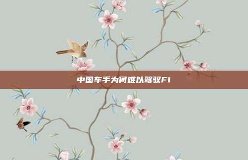 中国车手为何难以驾驭F1