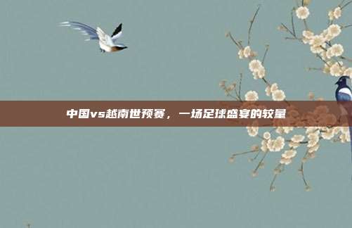 中国vs越南世预赛，一场足球盛宴的较量