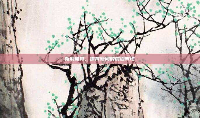 新浪体育，体育新闻的前沿阵地