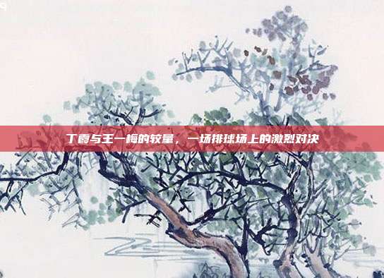 丁霞与王一梅的较量，一场排球场上的激烈对决