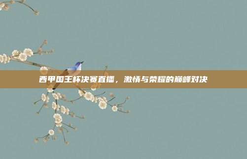 西甲国王杯决赛直播,激情与荣耀的巅峰对决