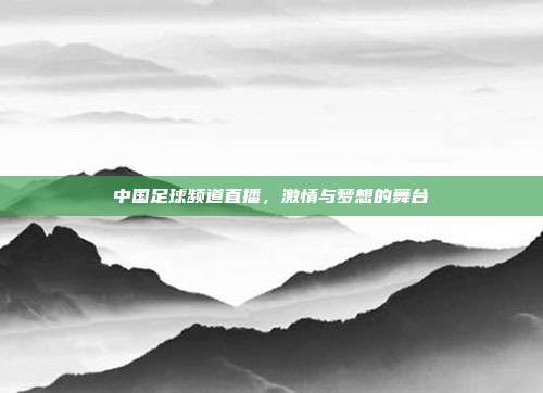 中国足球频道直播，激情与梦想的舞台