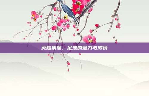 英超集锦，足球的魅力与激情