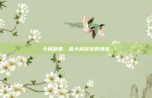 卡利亚里，意大利足球的瑰宝
