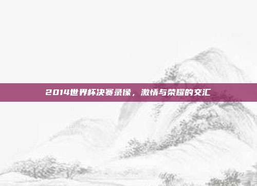 2014世界杯决赛录像，激情与荣耀的交汇