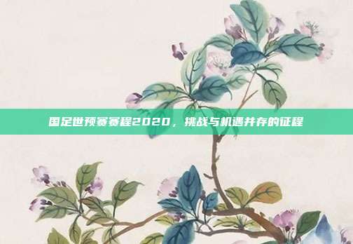 国足世预赛赛程2020，挑战与机遇并存的征程