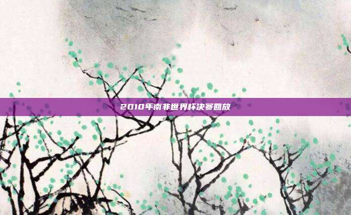 2010年南非世界杯决赛回放