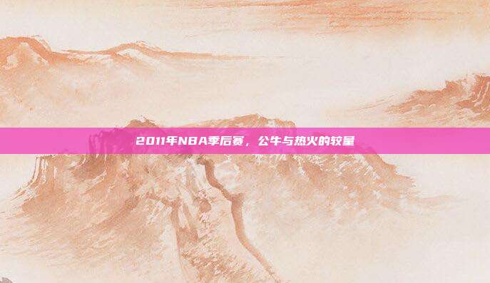 2011年NBA季后赛，公牛与热火的较量