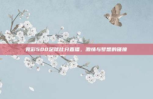 竞彩500足球比分直播，激情与梦想的碰撞