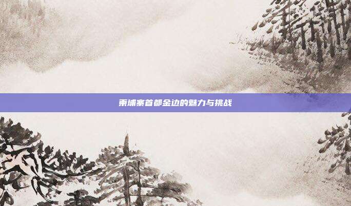 柬埔寨首都金边的魅力与挑战