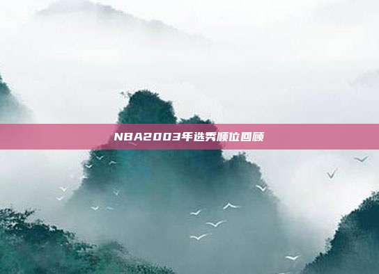 NBA2003年选秀顺位回顾
