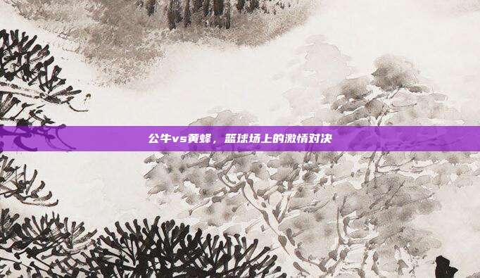 公牛vs黄蜂，篮球场上的激情对决