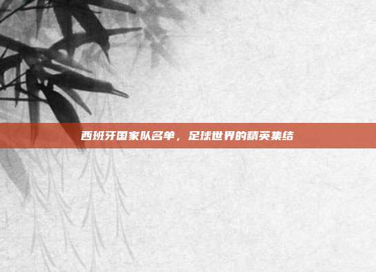 西班牙国家队名单，足球世界的精英集结
