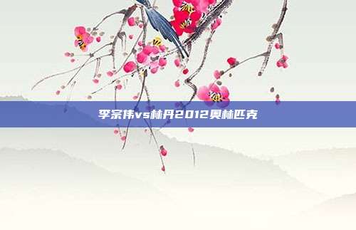 李宗伟vs林丹2012奥林匹克