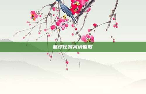 篮球比赛高清回放