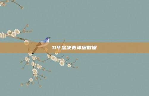 11年总决赛详细数据