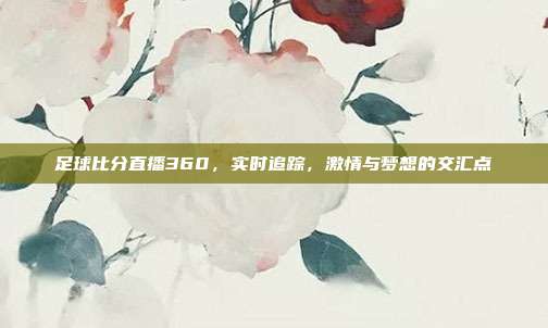 足球比分直播360,实时追踪,激情与梦想的交汇点