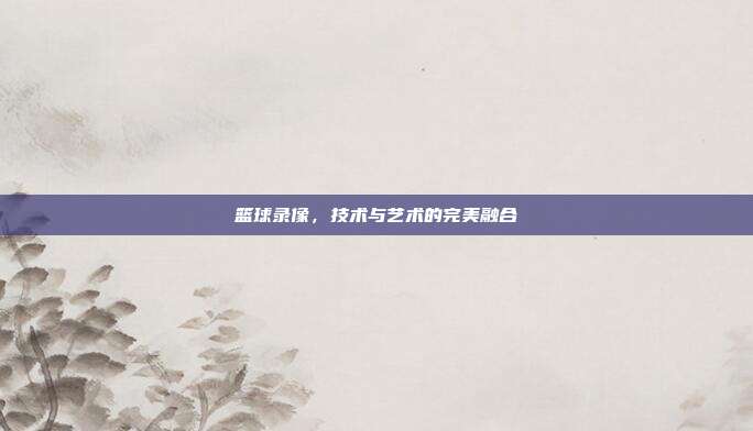 篮球录像,技术与艺术的完美融合