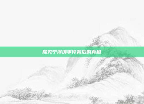 探究宁泽涛事件背后的真相